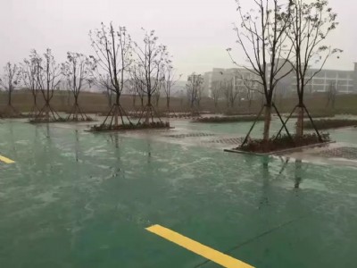 �����ЌW����ͣ܇����ɫ��ƺ