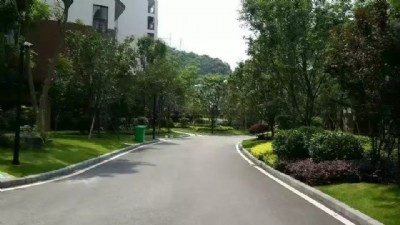 С�^(q��)܇�����е�͸ˮ����������ɫ��