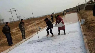 �����������Ͻօ^(q��)�ѻ��@��ɫ������������ƺ