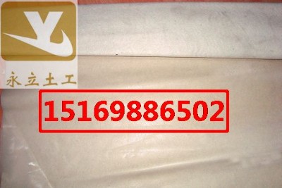 �������_�˹������BĤ�����ͺ�����ĤҎ��