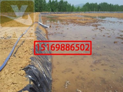 ����(y��ng)������ˮ�ط��BĤ�v�R��ˮ�a(ch��n)�B(y��ng)ֳhdpe����Ĥ