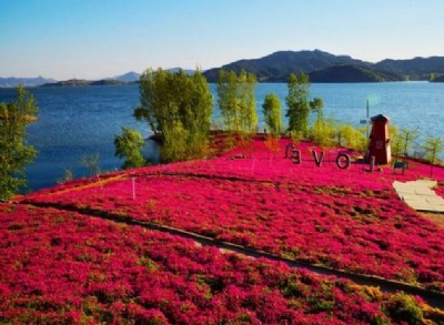 �ڴ�ů���_�ļ���(ji��)�����껨�ȸ�һ�������ڼs