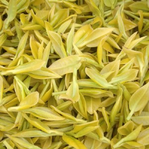 ���_�����w�S�S�轛����Ʒ