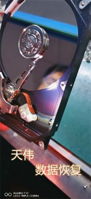 ��XӲ�P�ĵ����攵���֏� �삥�����֏��������