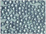 ���������� ���B������ ��ԭ������