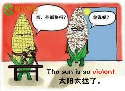 ����Ӣ�Z���Z��Ӗ��������Ӣ�Z��Ӗ