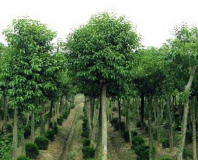 ���~Ůؑ�r��