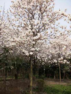 �����m�r��