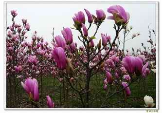 �����m�r��