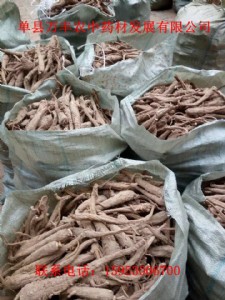 ɽ�|���ƷN��