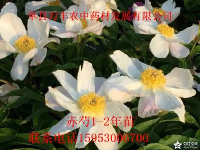 ɽ�|���ַN��