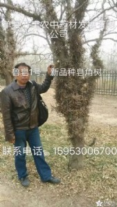 ɽ�|���ǷN�������һ̖