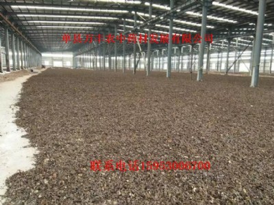 ɽ�|���ַN��