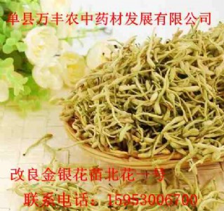 ɽ�|�ʝɽ��y������һ̖�N��