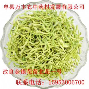 ���y�������l(f��)����ă�(y��u)�|(zh��)�����C