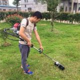 139��Ȓ�ʽ��ݙCɳ���ո���С���ո�C