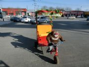 �C���˵�܇���ͣ��C���˵�܇ҕ�l���C���˵�܇����