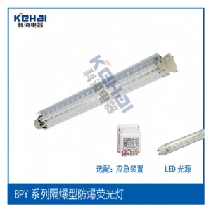 BPY�����ɹ��