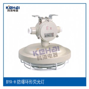 BYH-22�����h(hu��n)�Οɹ��