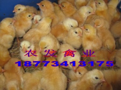 �������u��