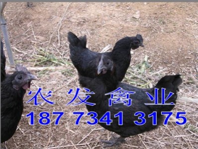 �G�����u�����u��r��