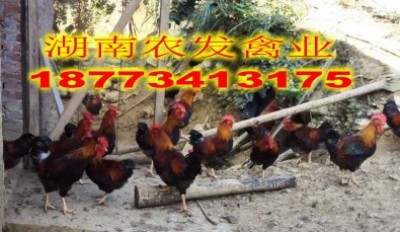 �������Sk9�u�����l