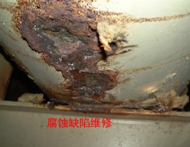 �����������g�S��