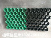 ����ͣ܇λ����ֲ�ݸ�