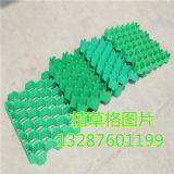 ���ֲ�ݸ�r��|���ֲ�ݸ����޹�˾