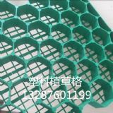 ����ֲ�ݸ�/����ͣ܇��ֲ�ݸ��r