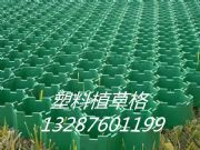 �Ͼ����е�ֲ�ݸ�gӭ��