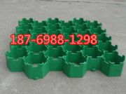 ���е��G��ֲ�ݸ�