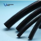 pa����ܛ��  �����˹�