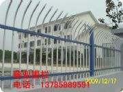 ��ƺ�o�ڡ�ͥԺ�o�ڡ��WУ�׃��@�����o��