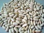 ����(y��ng)���|����ȡ��