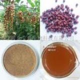 ������ζ����ȡ��