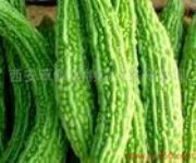 ����(y��ng)�����ȡ��