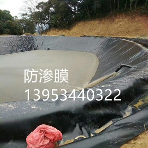 �V��늏S�{���ط��BĤ�S��