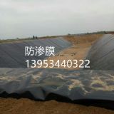 �ӱ���ɫ���ϻ�ȫ���Ϸ��BĤ�S��