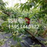 �V�����@�@ˇ�ز�  110�˷��ݲ��r��