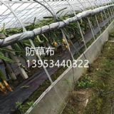 ɽ�|����������ݲ��r����O����