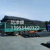 ɽ�|�������{�ط��BĤÿƽ���׃r��