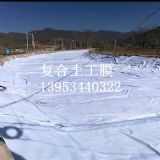 ��(f��)������Ĥ��(y��ng)��������^��