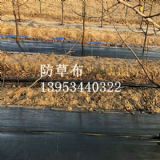 ����1�׷��ݲ������ш@��ʹ��Ч��