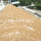 ���պӵ��o��Ҭ�z̺�S��