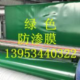 ��(n��i)�ɹ��˹������B0.5mm�Gɫ���BĤ�S��