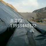 ɽ�|������������whdpe����Ĥ�S��