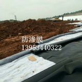 0.5mm����������R�r���wĤʹ��Ч��