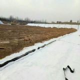 һ��һĤ ���500��һ��һĤ�r��