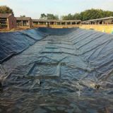 �B�i���Ӛ������ĤͶ��ʹ�Ã�����Ч��